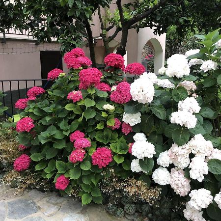B&B Ca' Du Brigidin 토보산지아코모 외부 사진