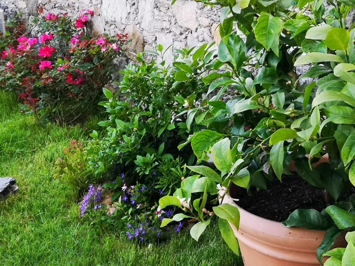 B&B Ca' Du Brigidin 토보산지아코모 외부 사진