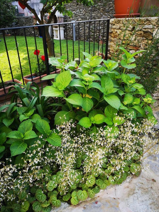 B&B Ca' Du Brigidin 토보산지아코모 외부 사진