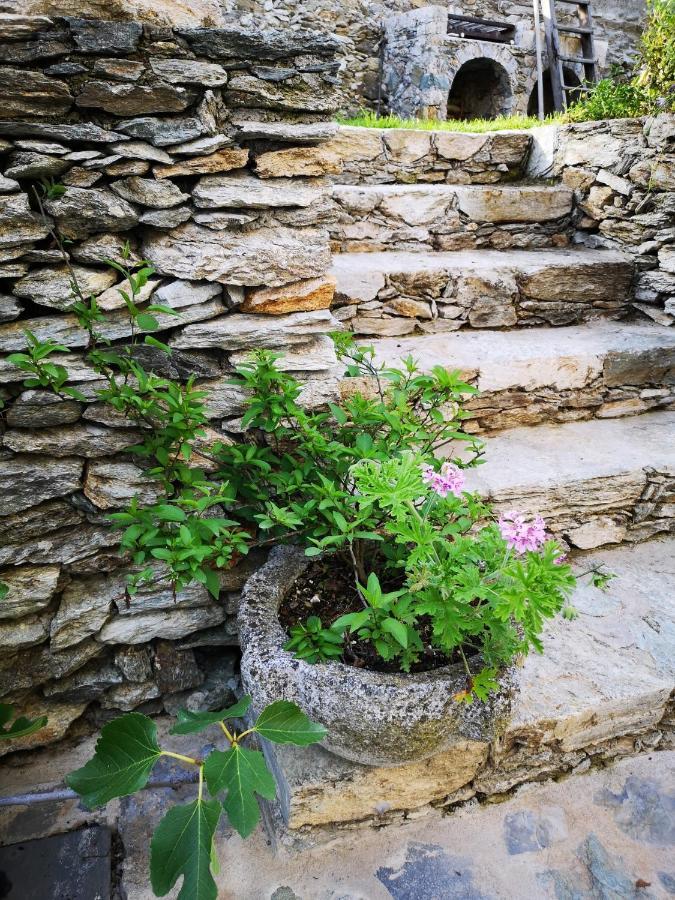 B&B Ca' Du Brigidin 토보산지아코모 외부 사진