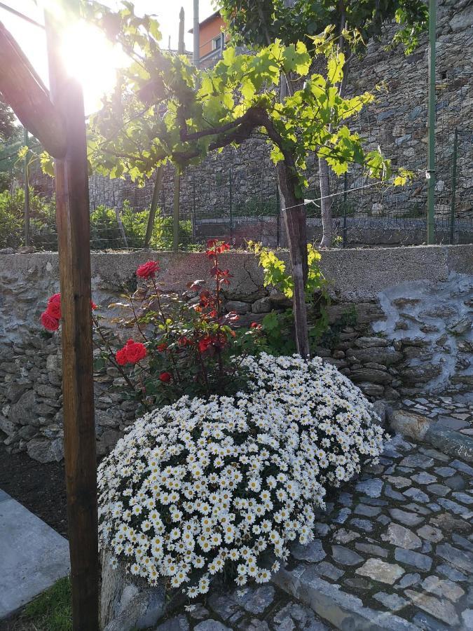 B&B Ca' Du Brigidin 토보산지아코모 외부 사진