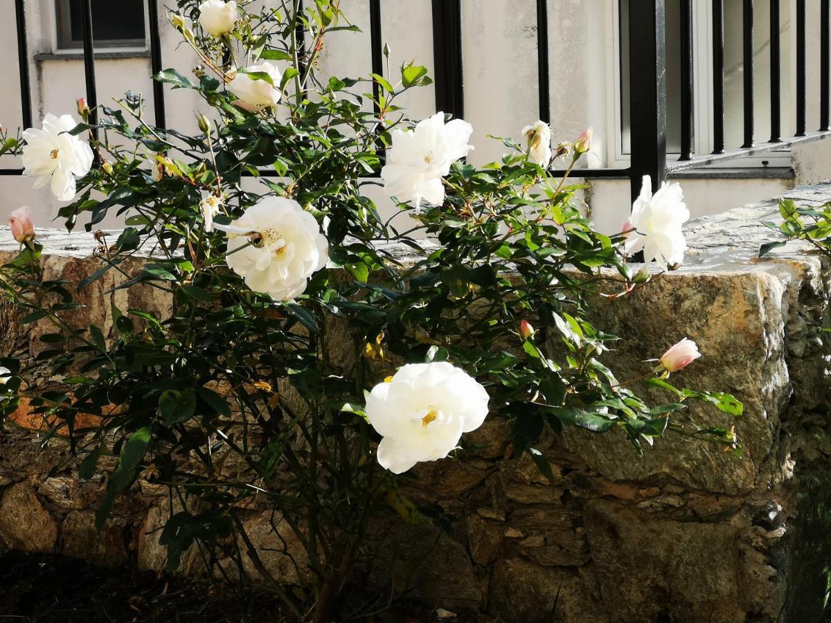 B&B Ca' Du Brigidin 토보산지아코모 외부 사진