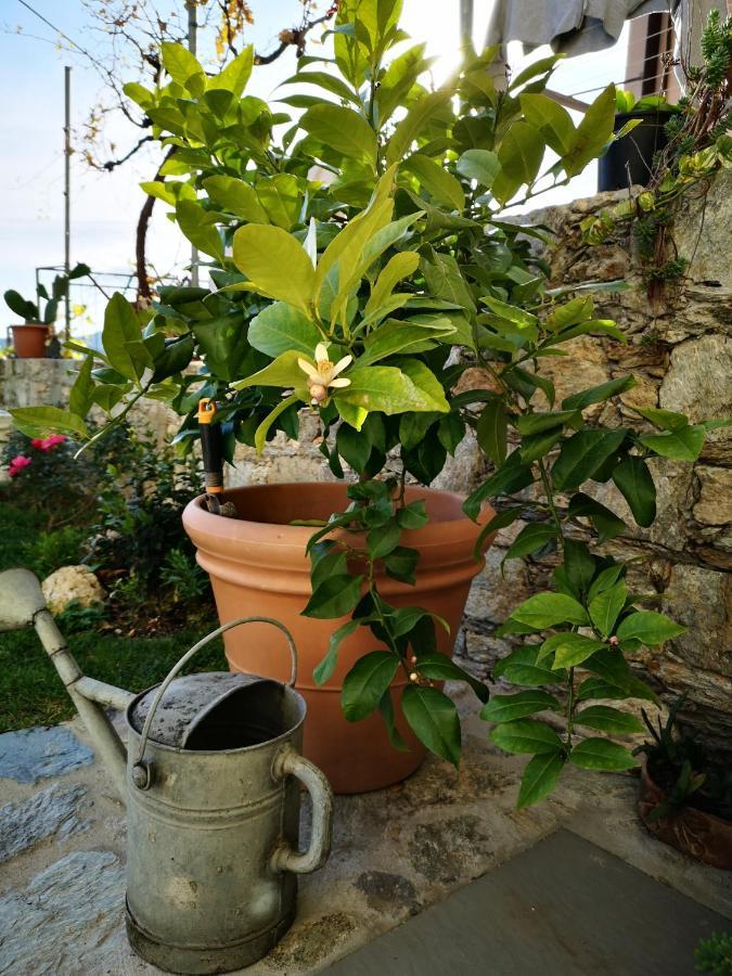 B&B Ca' Du Brigidin 토보산지아코모 외부 사진