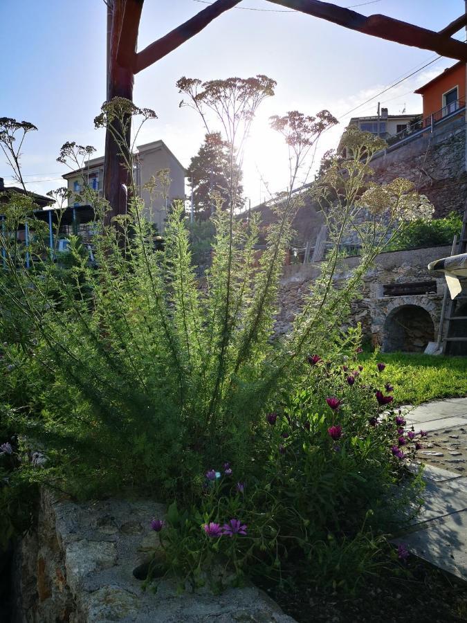 B&B Ca' Du Brigidin 토보산지아코모 외부 사진