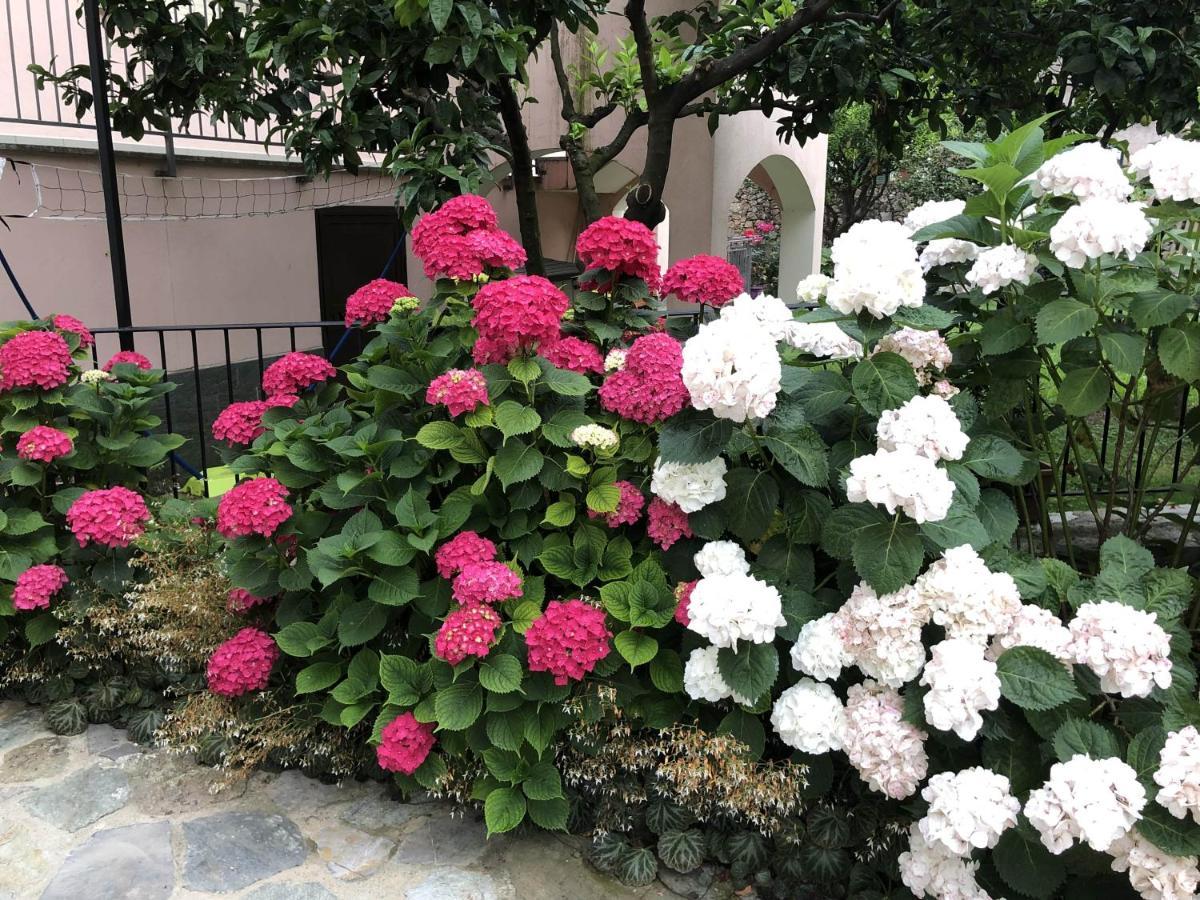 B&B Ca' Du Brigidin 토보산지아코모 외부 사진